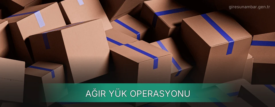 Giresun Ağır Yük Ambar Firmaları