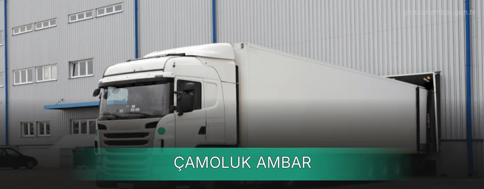 Çamoluk Ambar Kargo