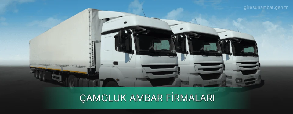 Çamoluk Ambar Taşımacılık