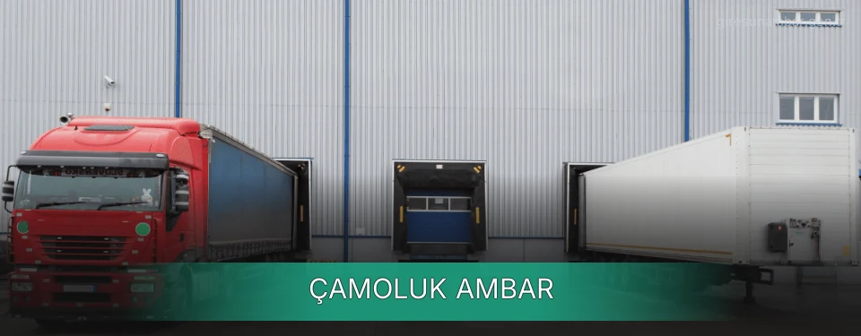 Çamoluk Ambar
