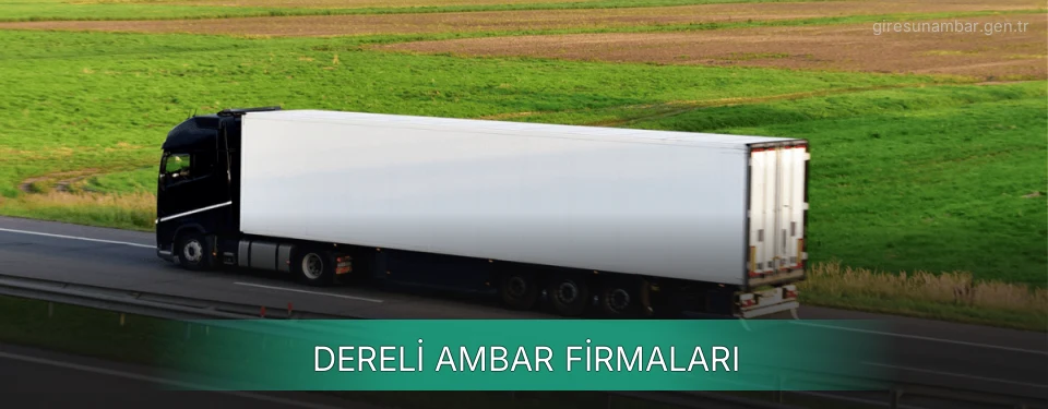 Dereli Ambar Taşımacılık