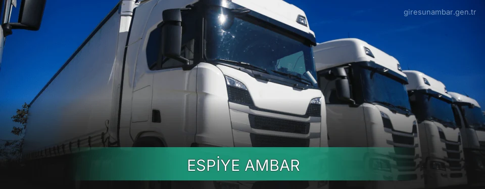 Espiye Ambar Kargo