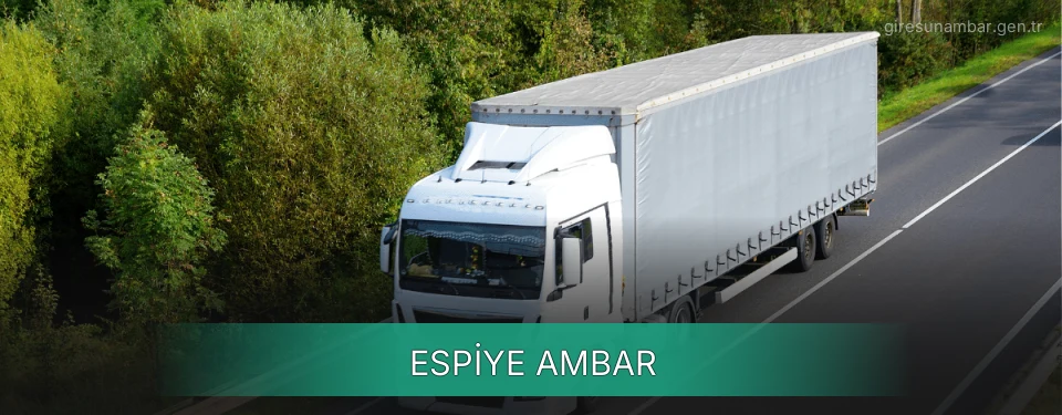 Espiye Ambar