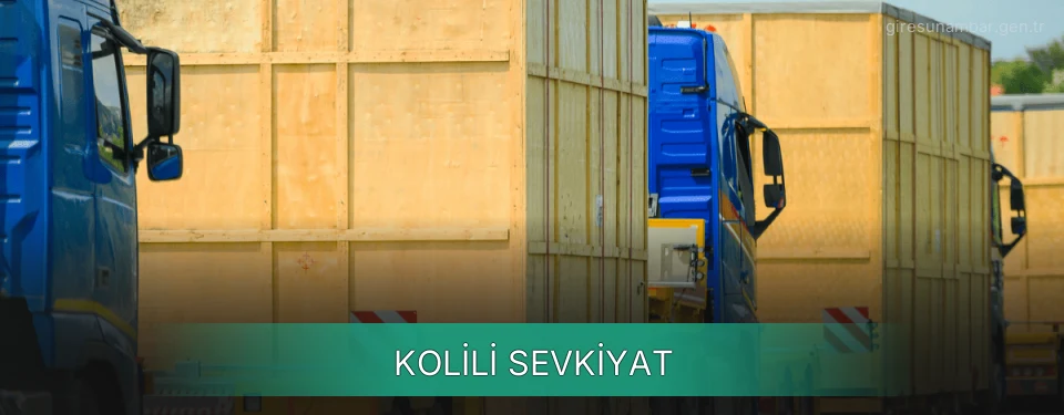 Giresun Kolili Sevkiyat Ambar Firmaları