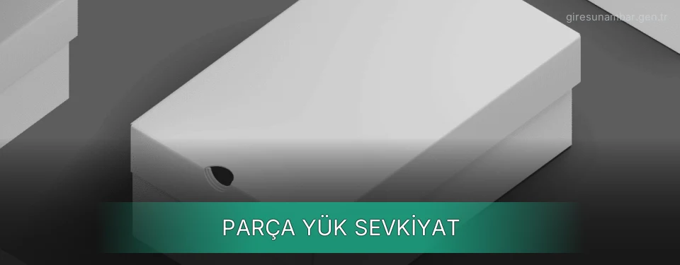 Giresun Parça Yük Ambar Firmaları
