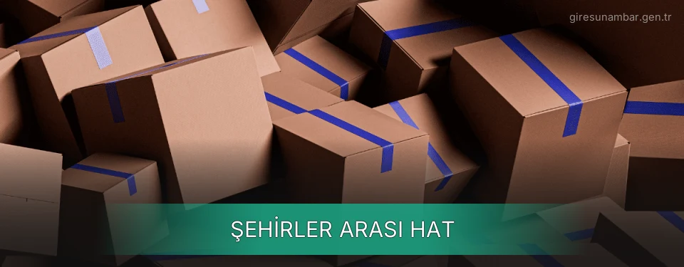 Giresun Şehirler Arası Ambar Firmaları